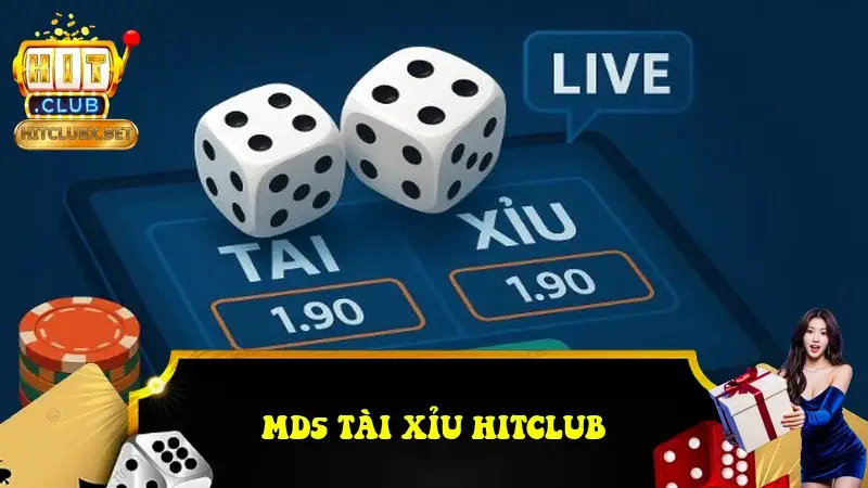 md5 tai xiu 69392d704b3a1