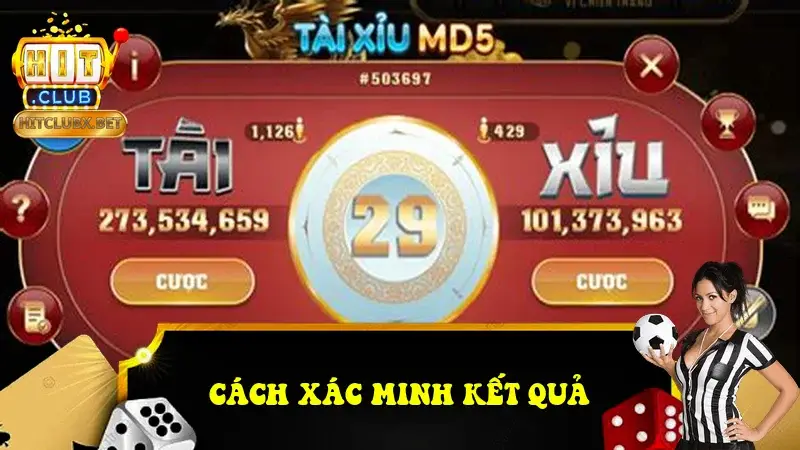 Cách xác minh kết quả Cách xác minh kết quả